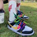 [Custom Rainbow Pac]  Dunk Skateboarding Shoes Women's - Image 8
