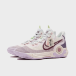 Lifelong Companionship - Men's KD Trey 5 IX EP Custom - Image 3