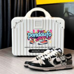 Pandaufo Portable Shoe Luggage